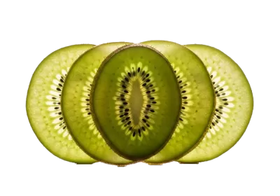 Imagen PNG para descargar